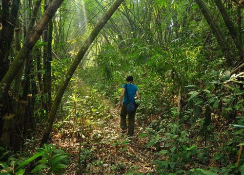 Lawachara National Park