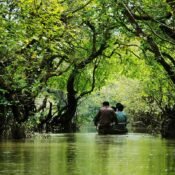 Ratargul Swamp Forest Sylhet
