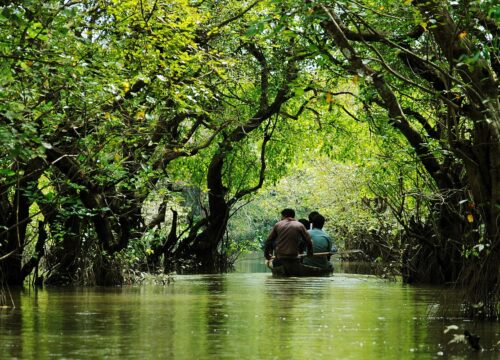 Lost in the Labyrinth of Ratargul