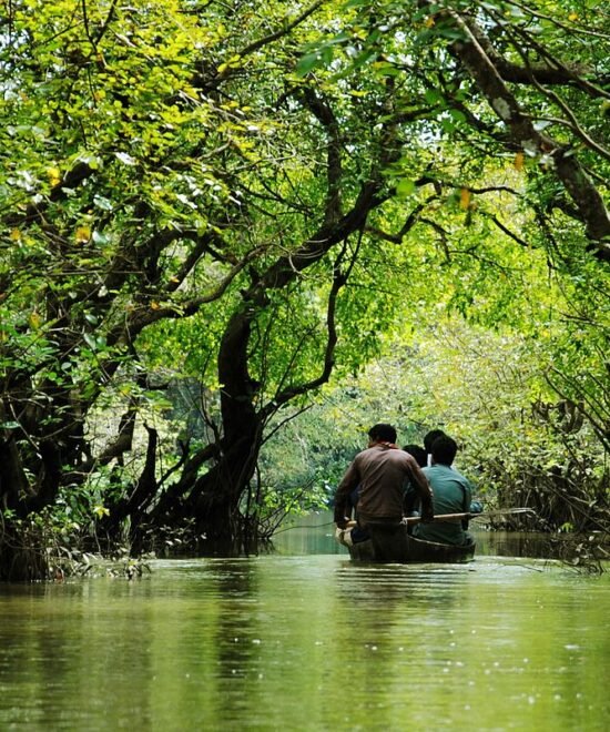 Sylhet & Srimangal Tea Country: Swamp Forests, Rivers and Seven-Layer Tea
